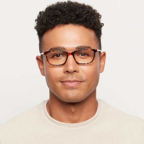 Blue Light Protection Glasses - Wells / Classic Tortoise