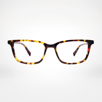 Blue Light Protection Glasses - Wells / Classic Tortoise