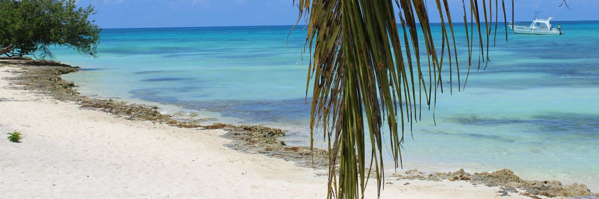 Summer Holiday Wellness